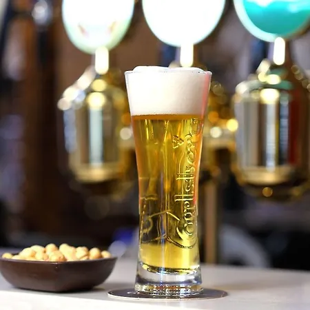 多尼采蒂宫特色酒店 酒店 4*