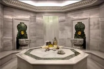 Palazzo Donizetti Istanbul, Tapestry Collection By Hilton 4*
