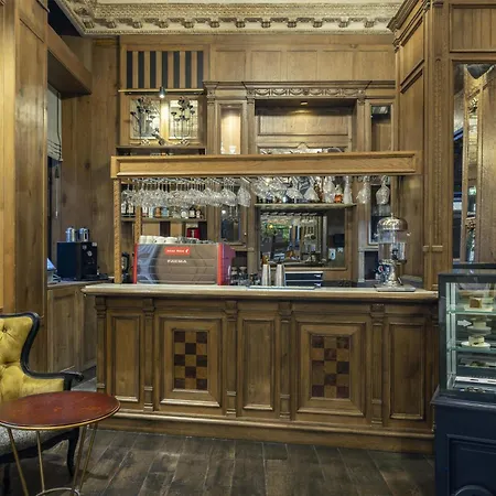 酒店 Palazzo Donizetti Istanbul, Tapestry Collection By Hilton 伊斯坦布尔