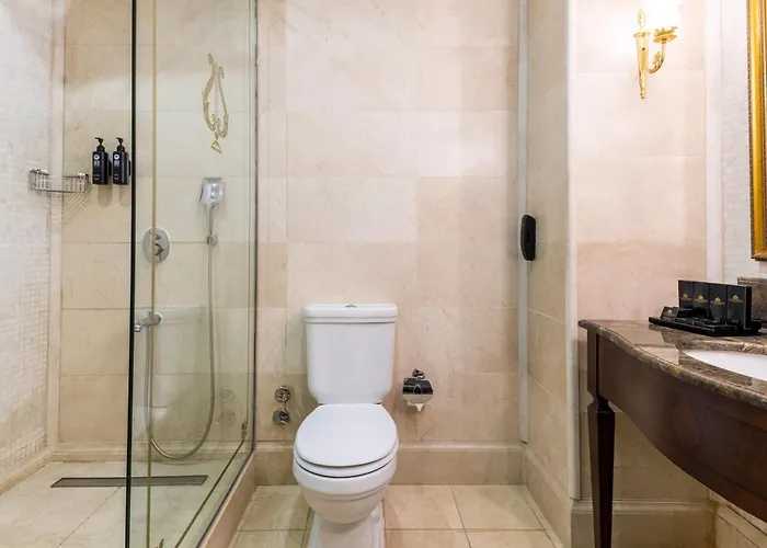 Palazzo Donizetti Istanbul, Tapestry Collection By Hilton ホテル